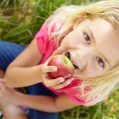 10 интересных фактов о детских зубах